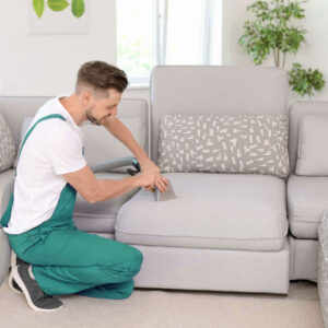 Sofás. Sillón textil